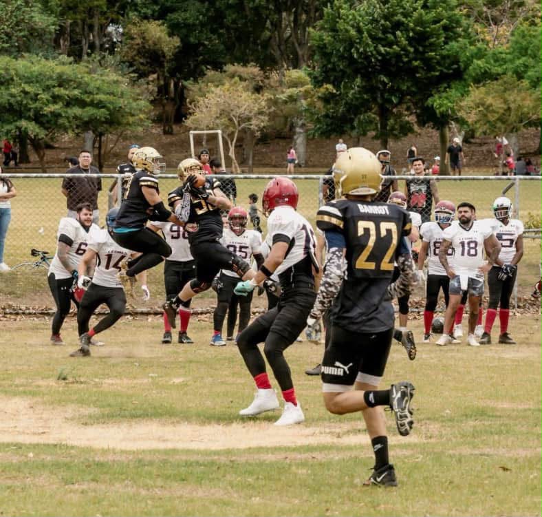 Alajuela Pumas competing during a daytime game