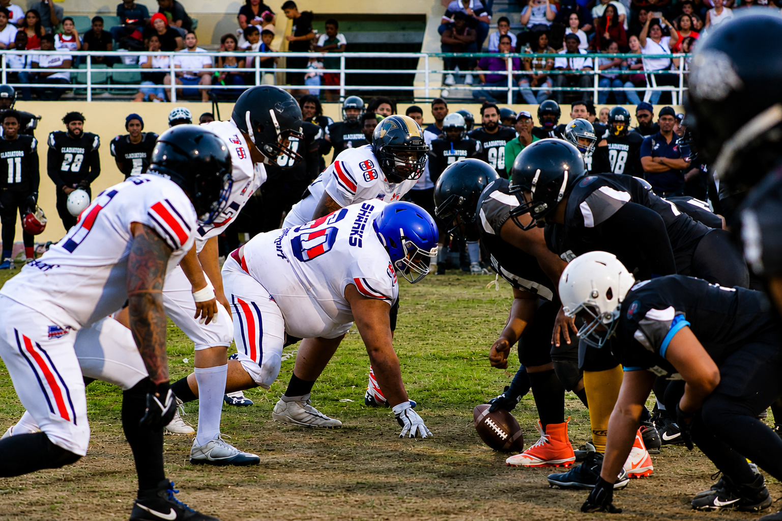 Costa Rica Sharks offense lined up against the Gladiators in San José
